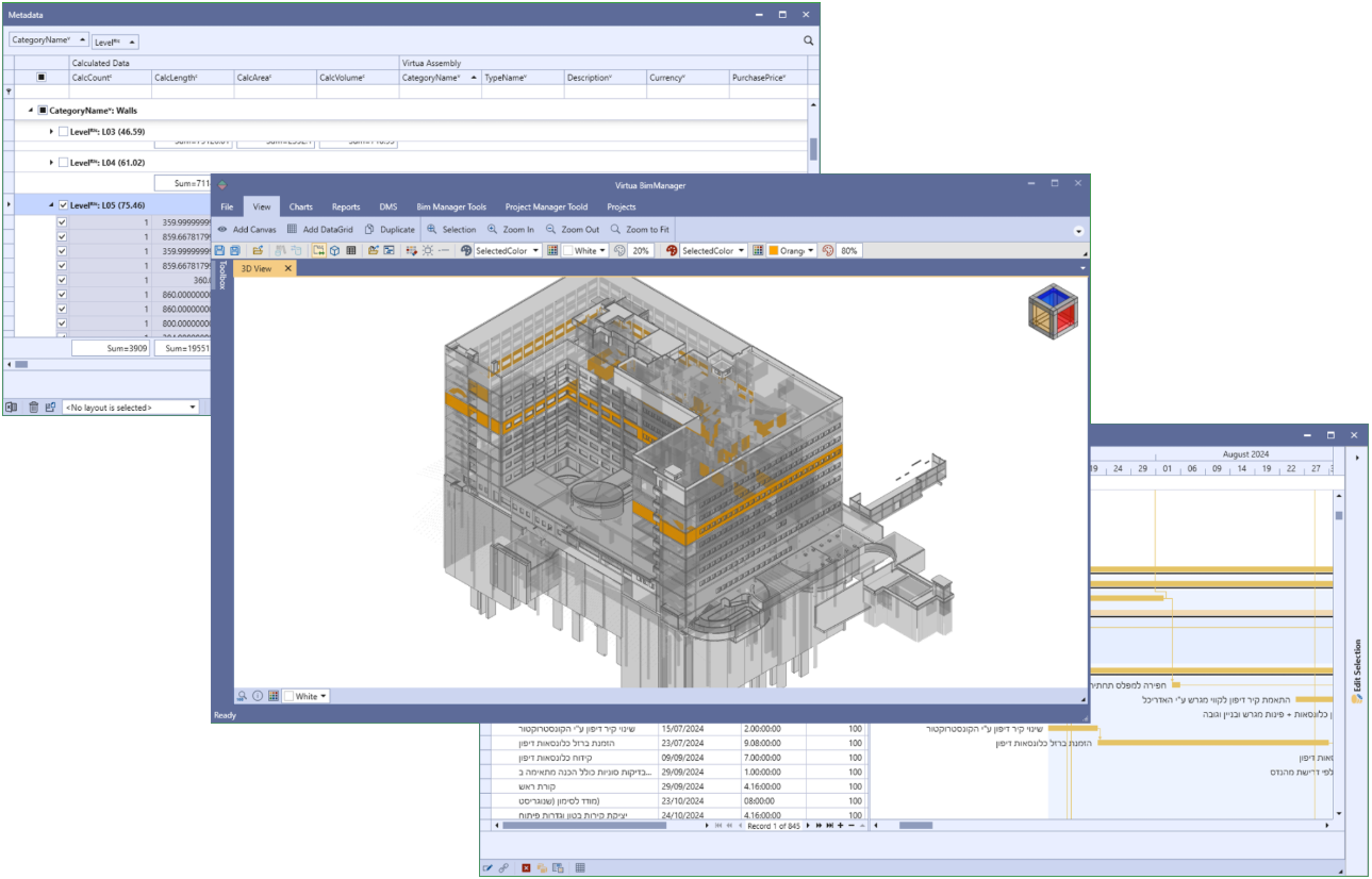 תצוגת BIM Manager